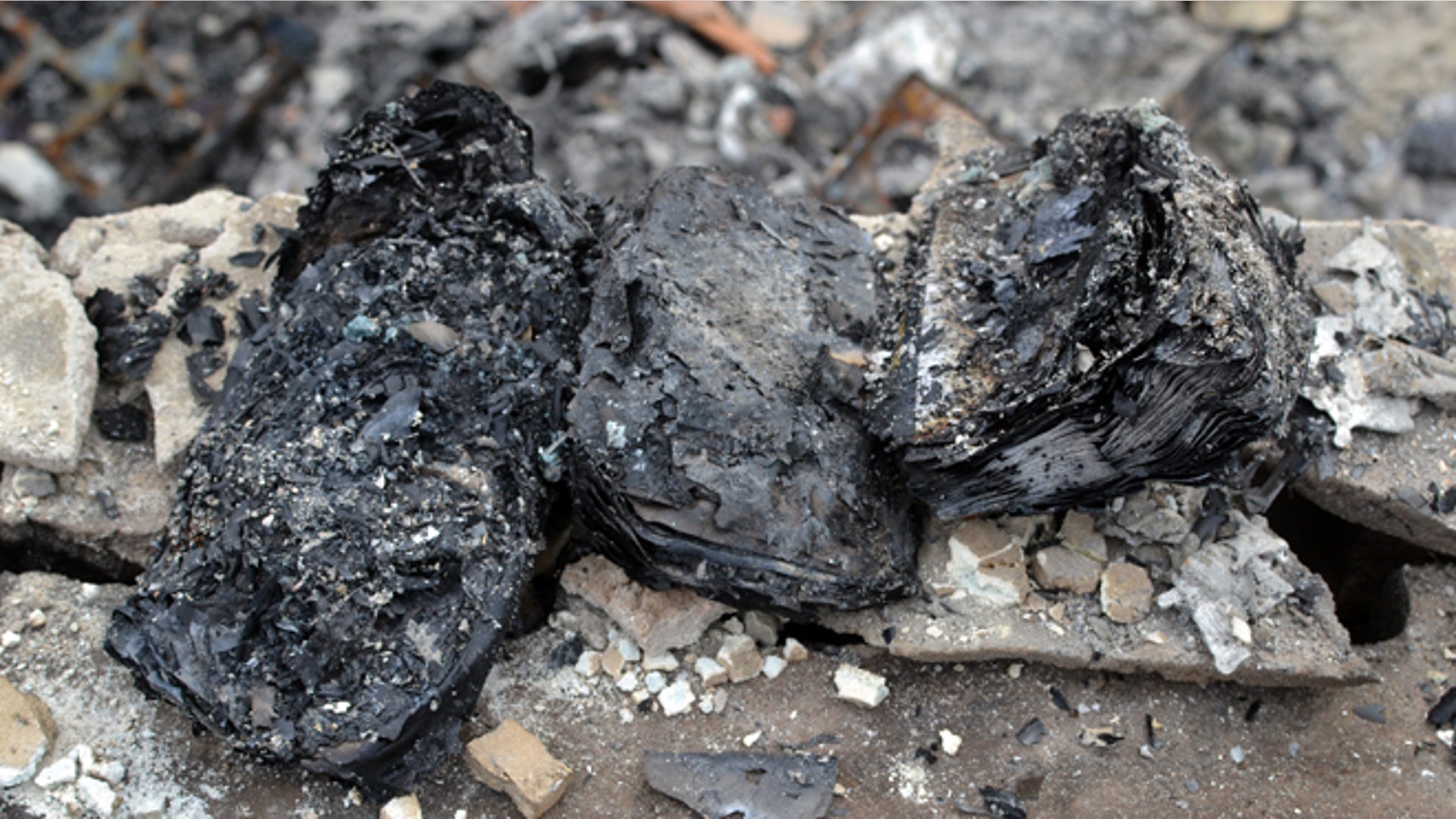 familyalbumsduffyfamily