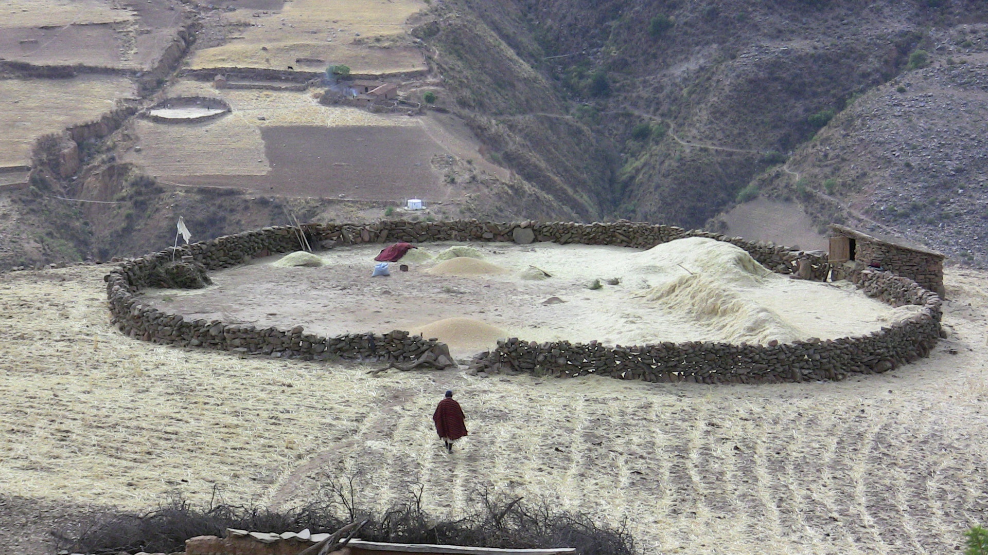 farmer_Bolivia_pic_5