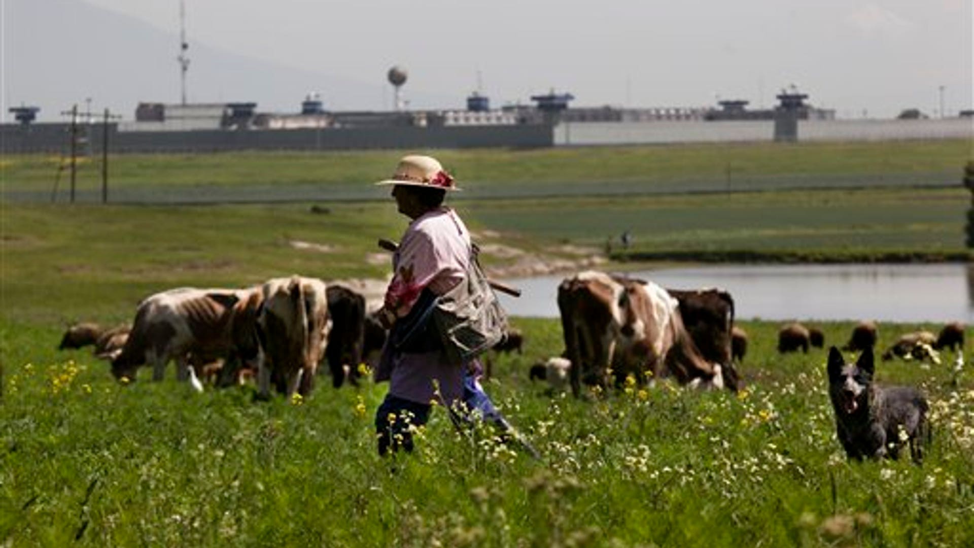 farmer_max_sercurity_prison_mexico