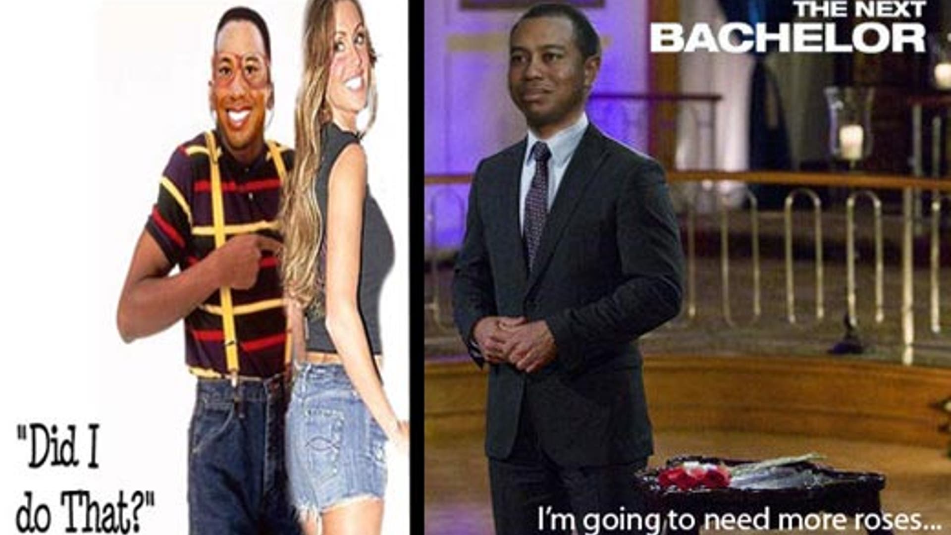 Tiger's Apology