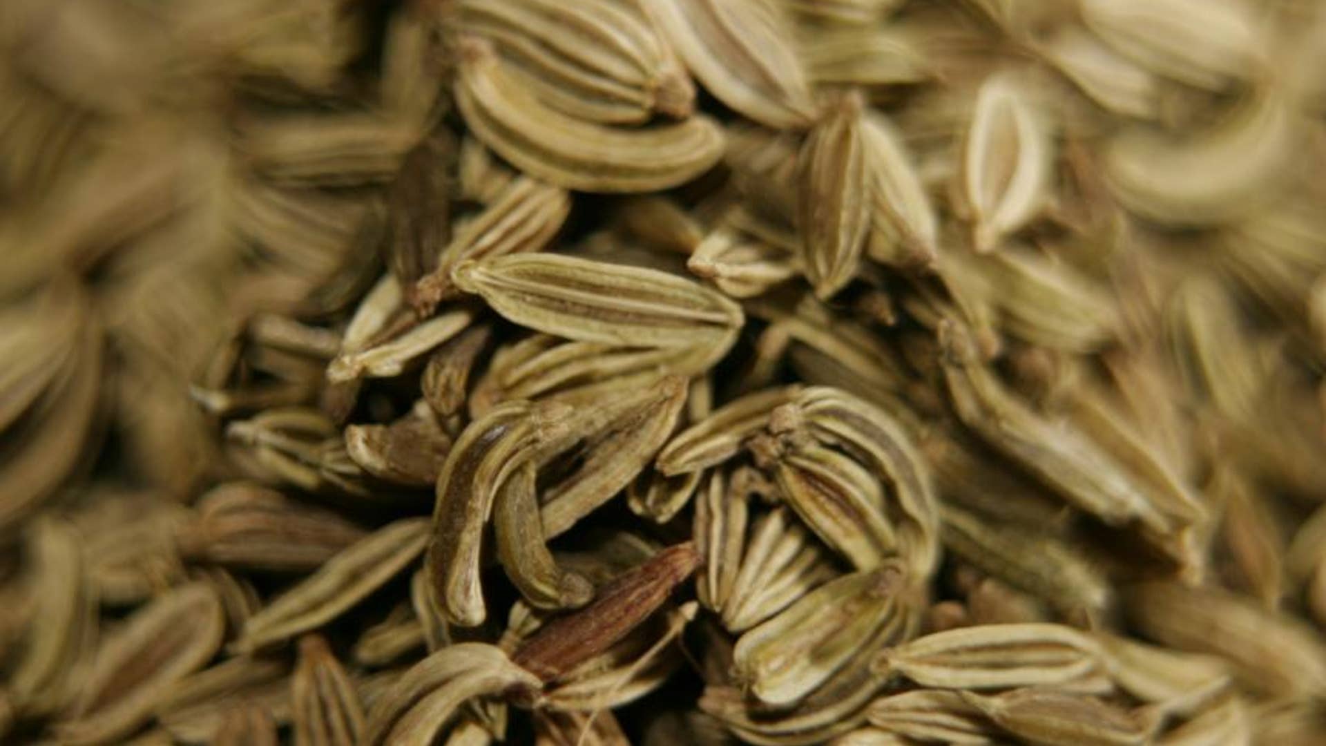 Fennel Seeds