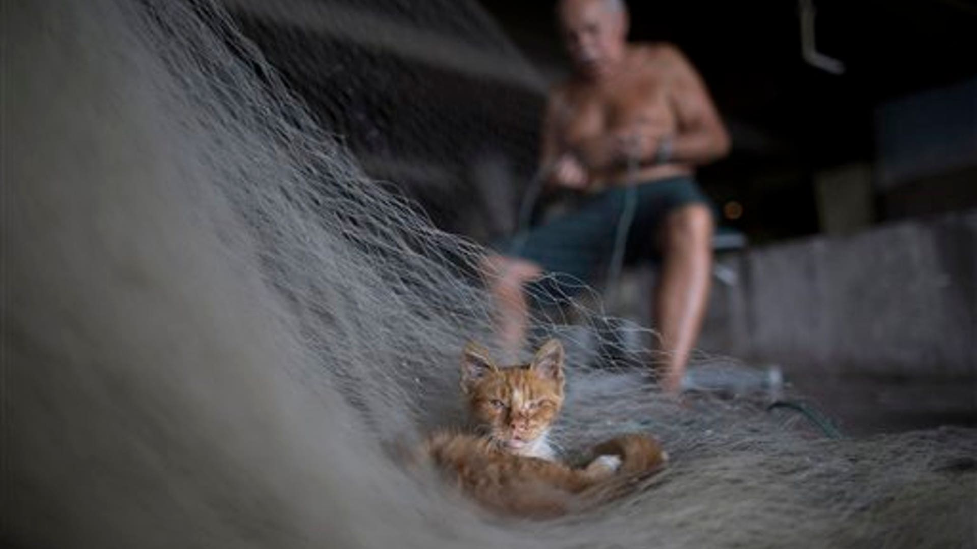 APTOPIX_Brazil_Pollut_Garc__4_