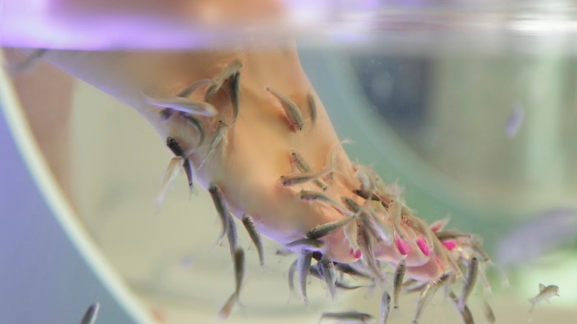 Le Blanc Spa Resort, Cancun, Mexico