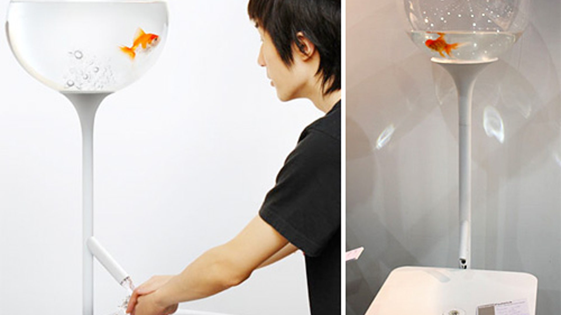 EcoGadgets: fishbowl sink