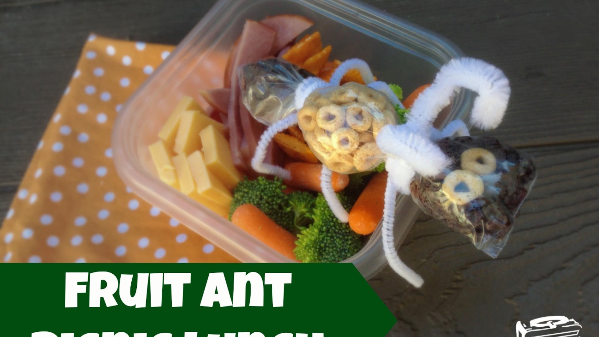 'Fruit Ant' Lunch for a Picnic