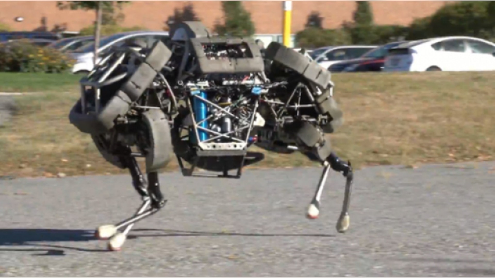 Wild galloping robot