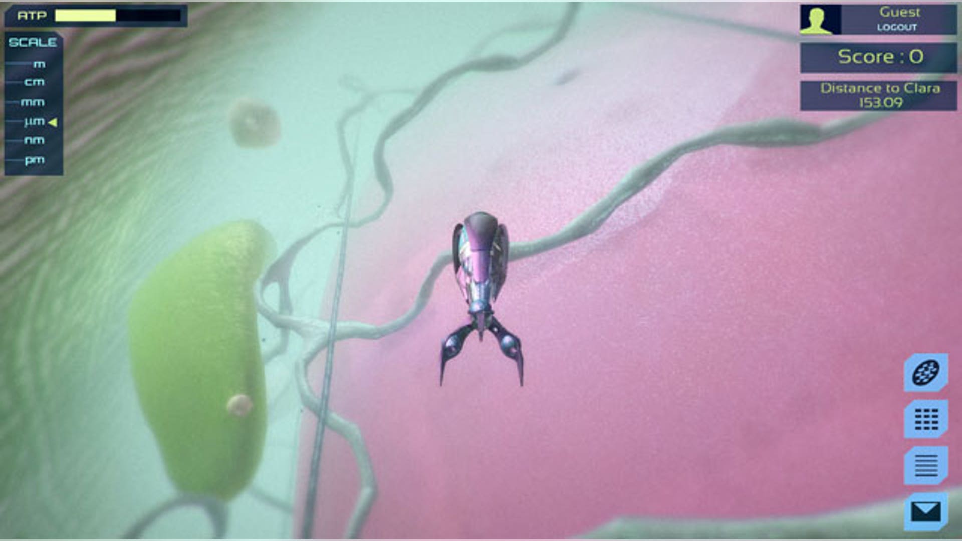 Meta!Blast 3D Interactive Application for Cell and Metabolic Biology. Level 1: The Cell