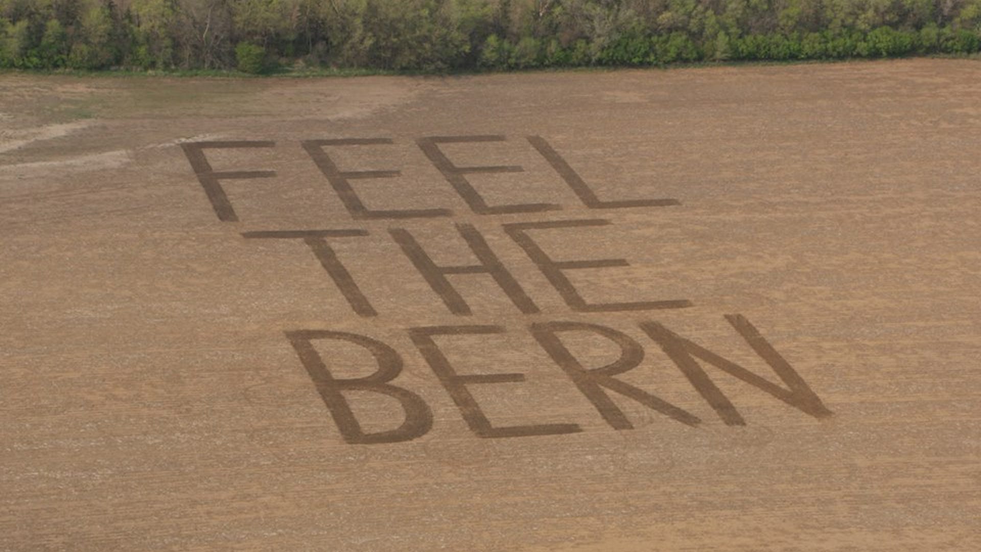 Feel the Bern