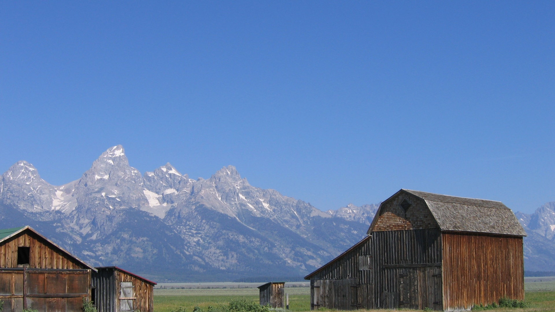 grand_teton_reed
