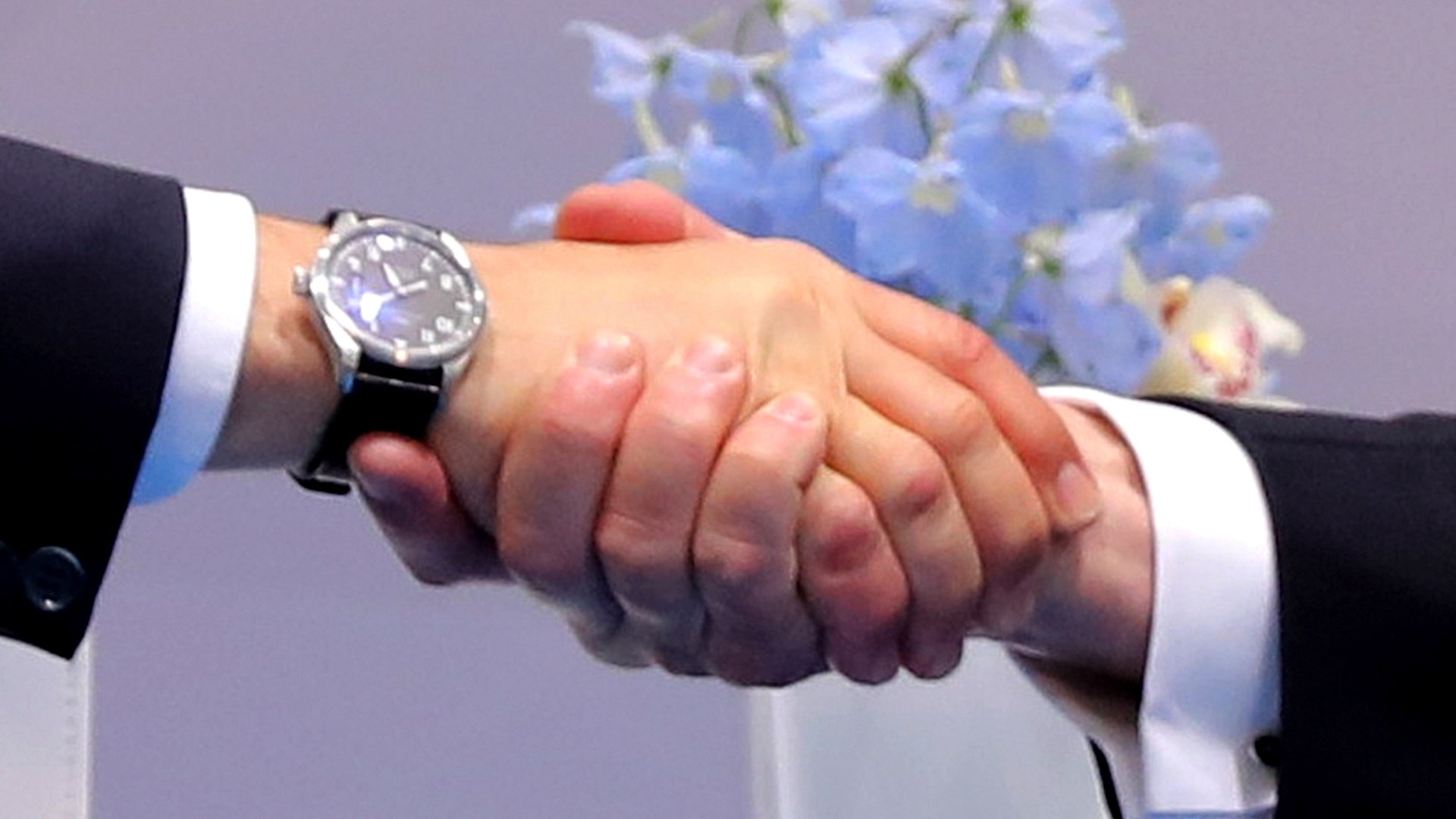President Donald Trump shakes hands with Russia's President Vladimir Putin during their bilateral meeting at the G-20 summit in Hamburg