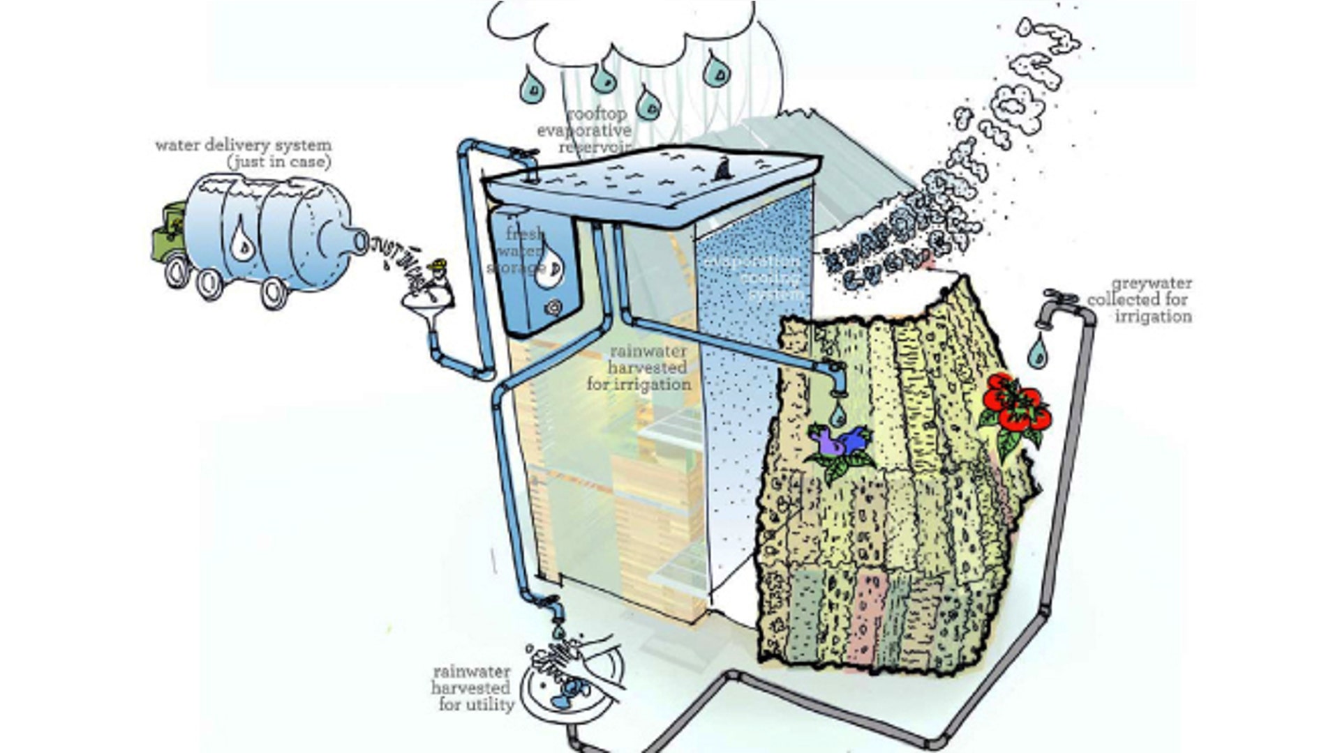 A rain-harvesting home