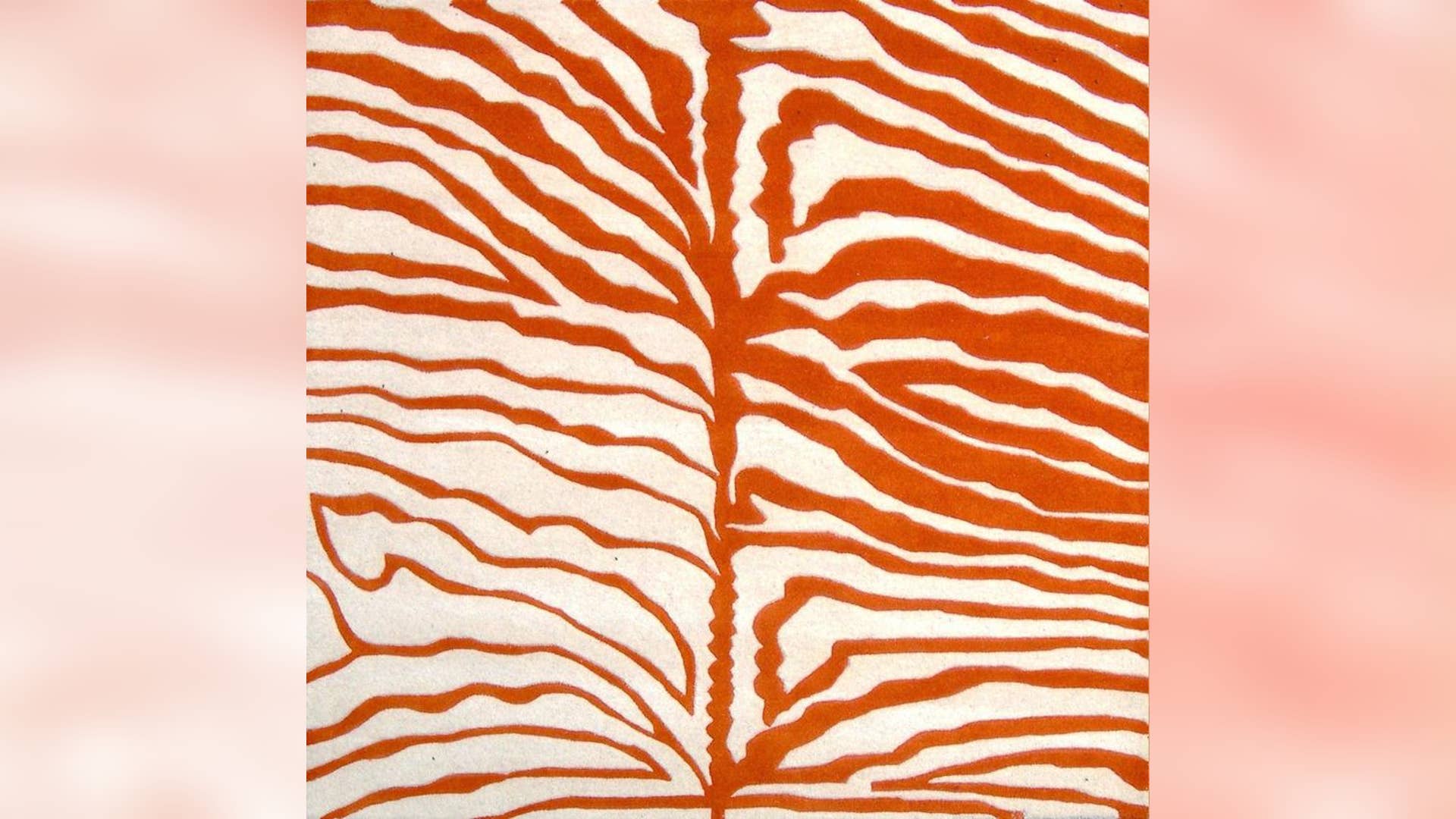 10. Alliyah Zebra Rug