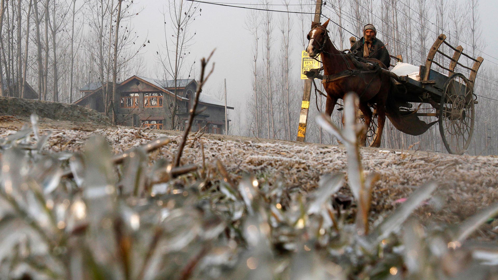 horse_drawn_cart_past
