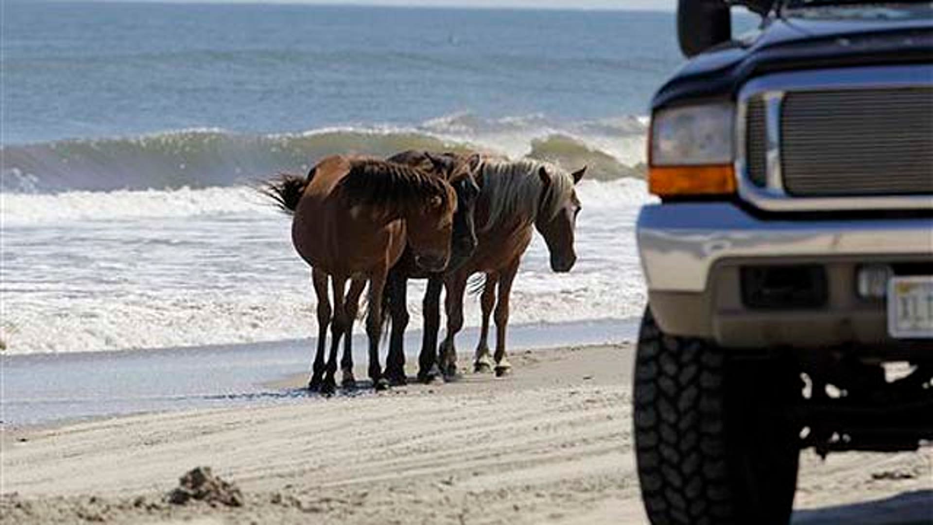 Beach Cruisers