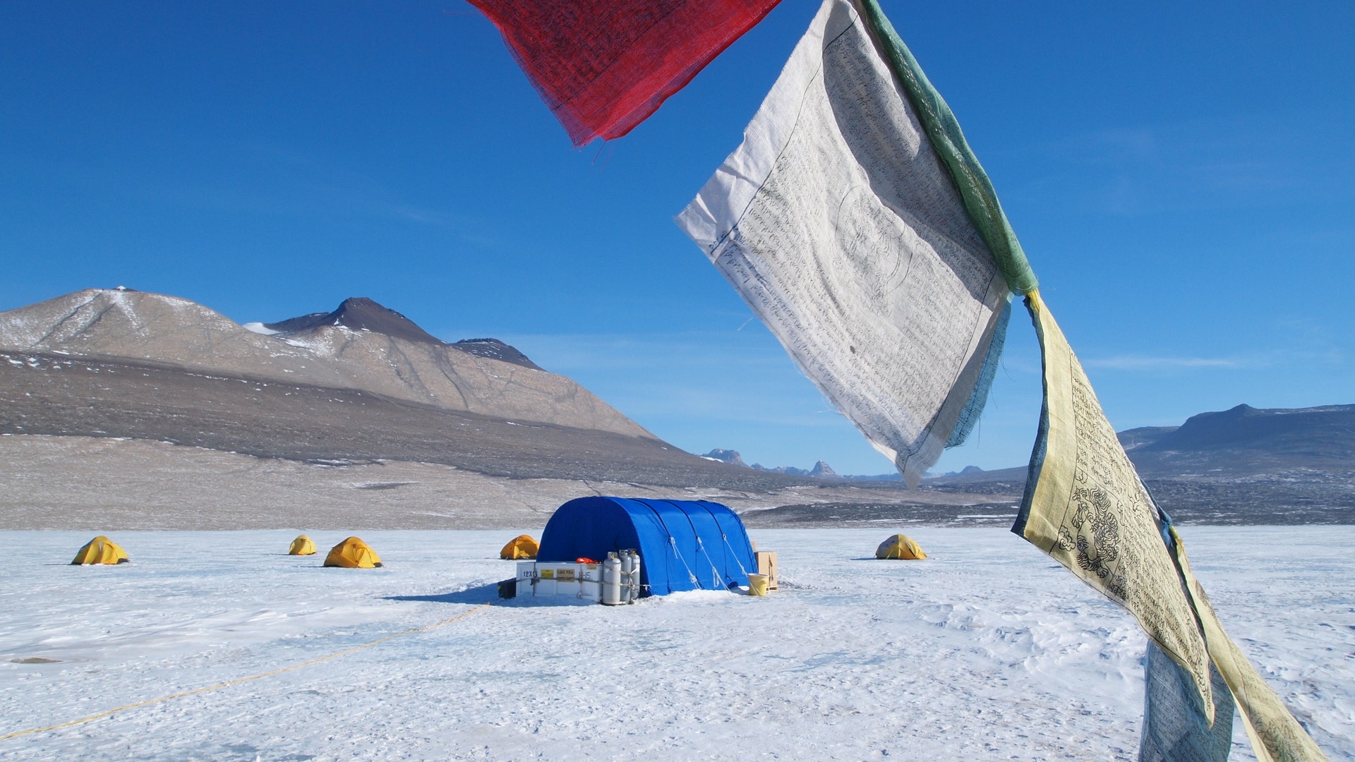 hunt_for_Antarctica_Life_4