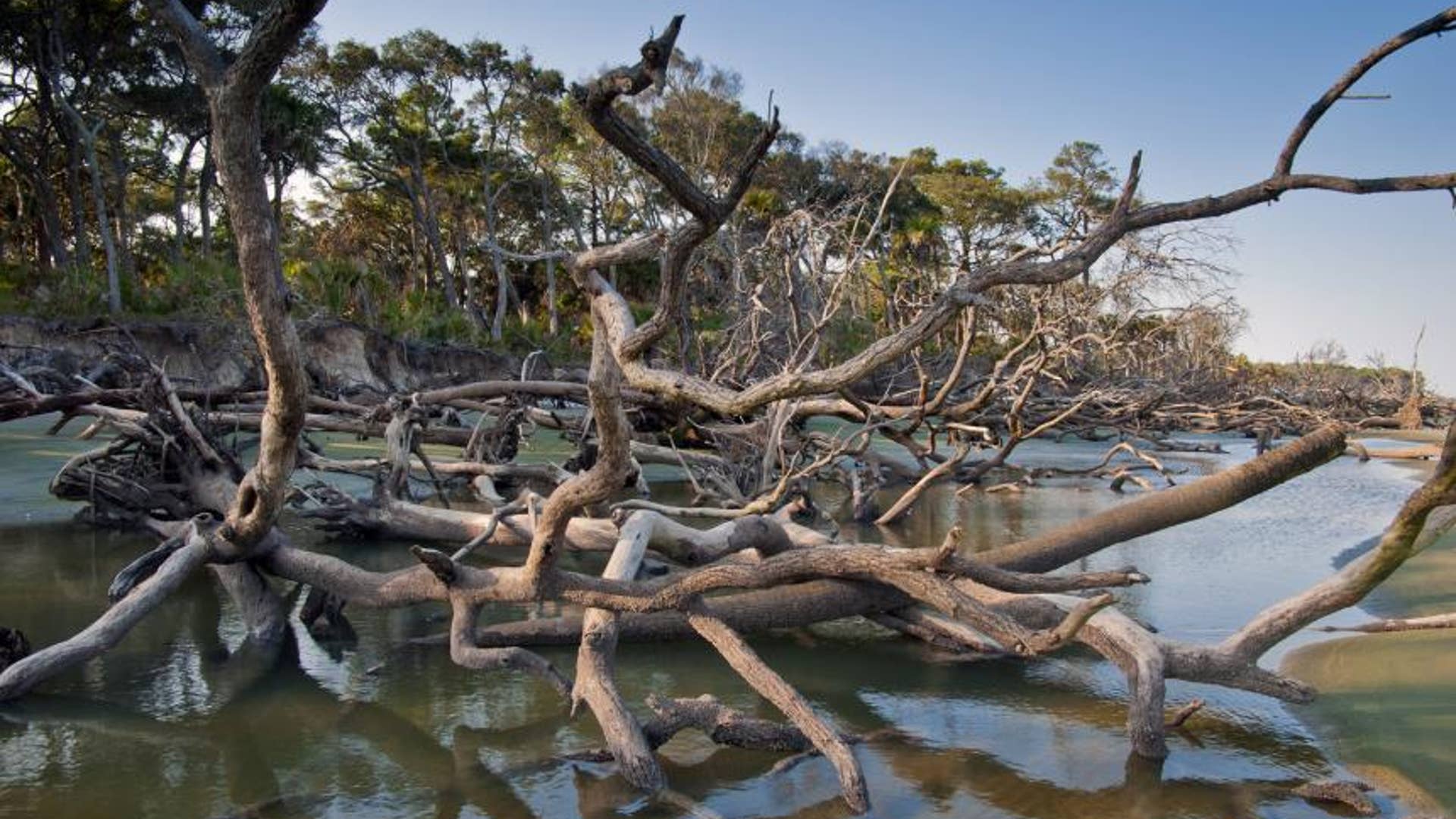 Hunting Island, South Carolina