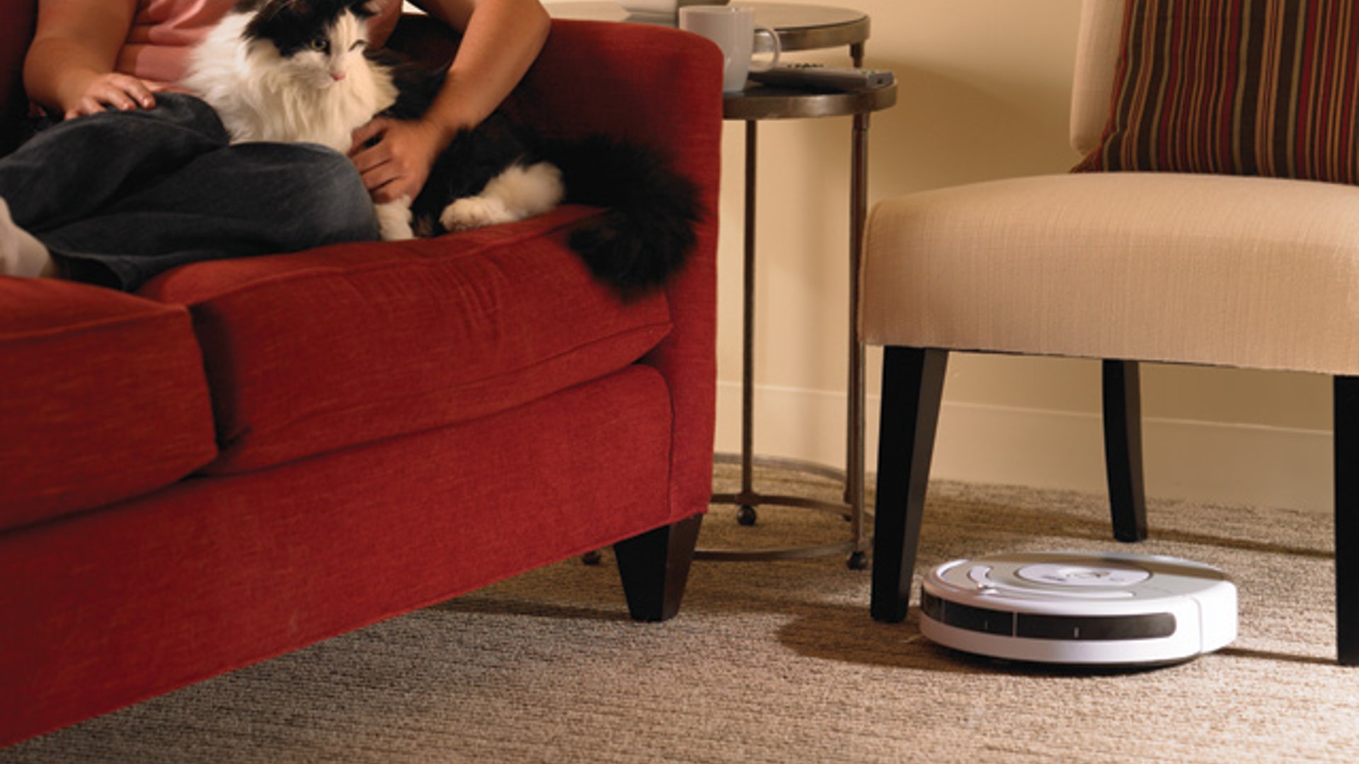 iRobot Roomba Pet 532 in Living Room