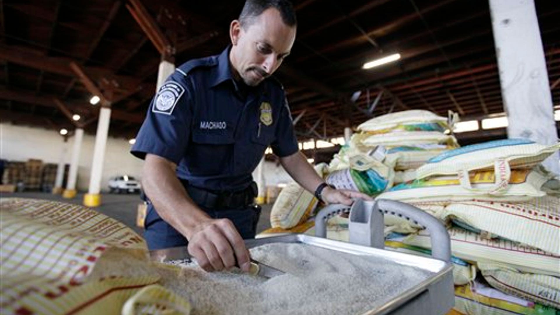 insect_pest_invasion_4