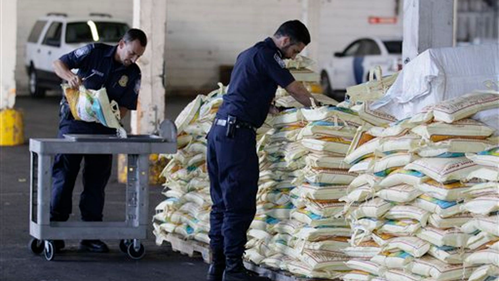 insect_pest_invasion_6