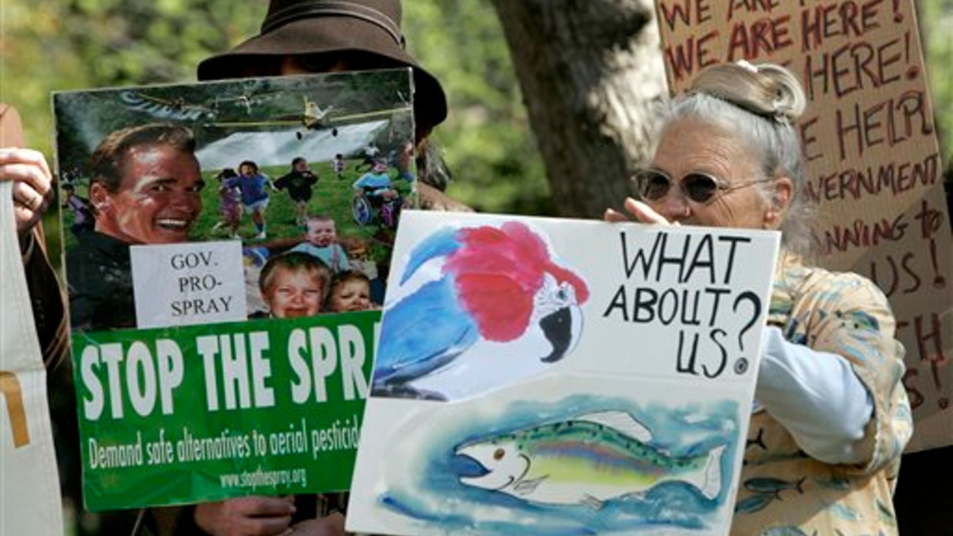 insect_pest_invasion_7