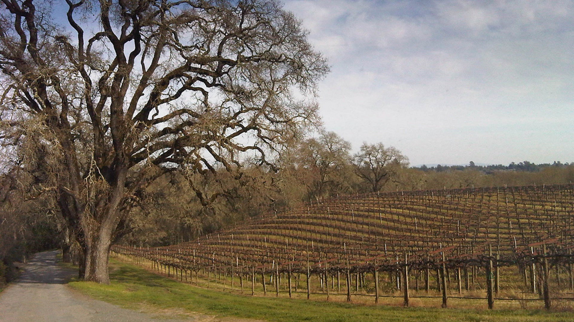 1…The magical mystery tour.