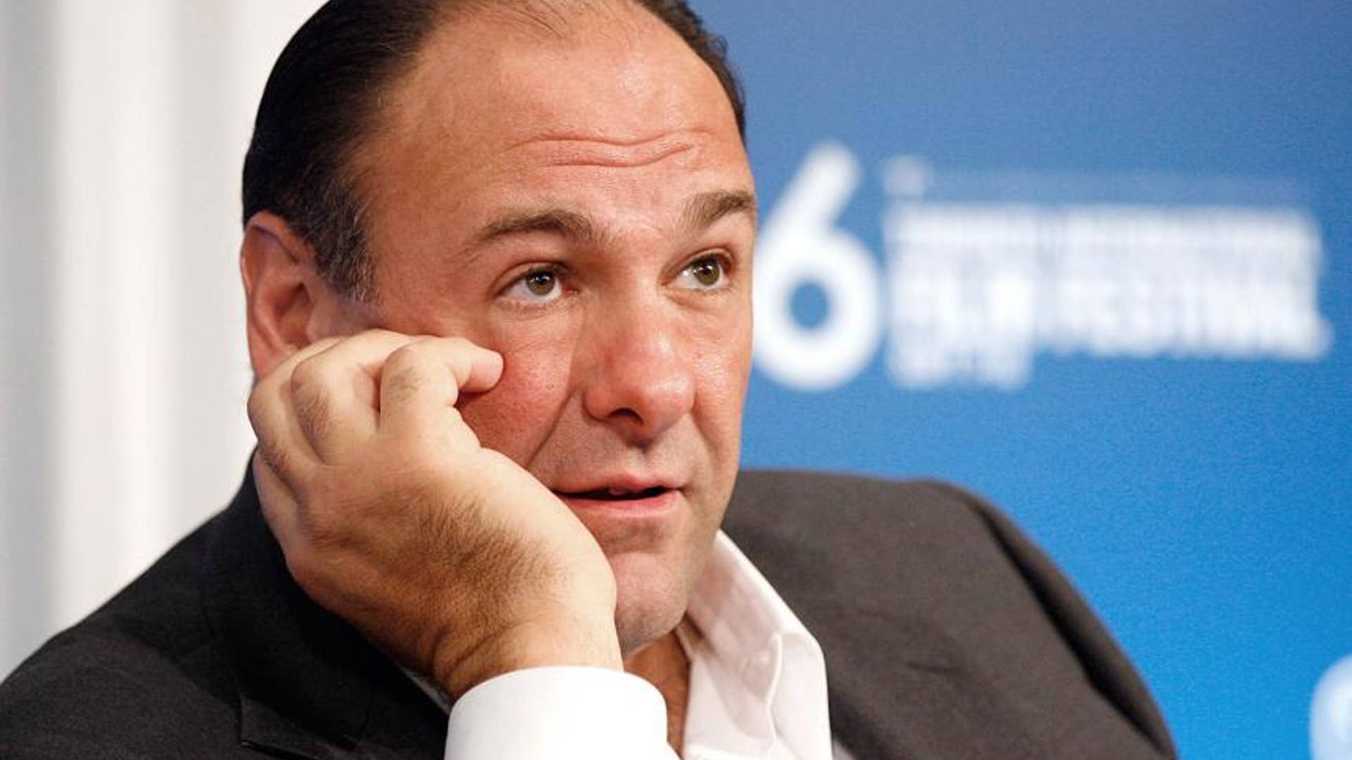 James Gandolfini in 'Extremely Loud and Incredibly Close'