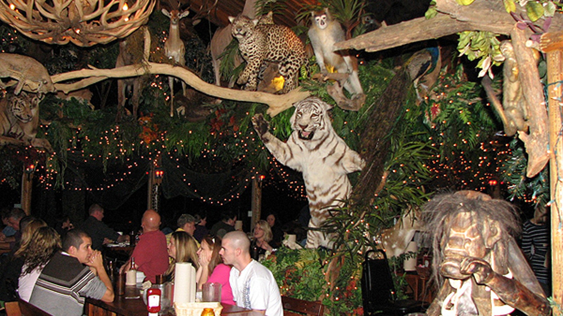 1...A Real Fish Tale