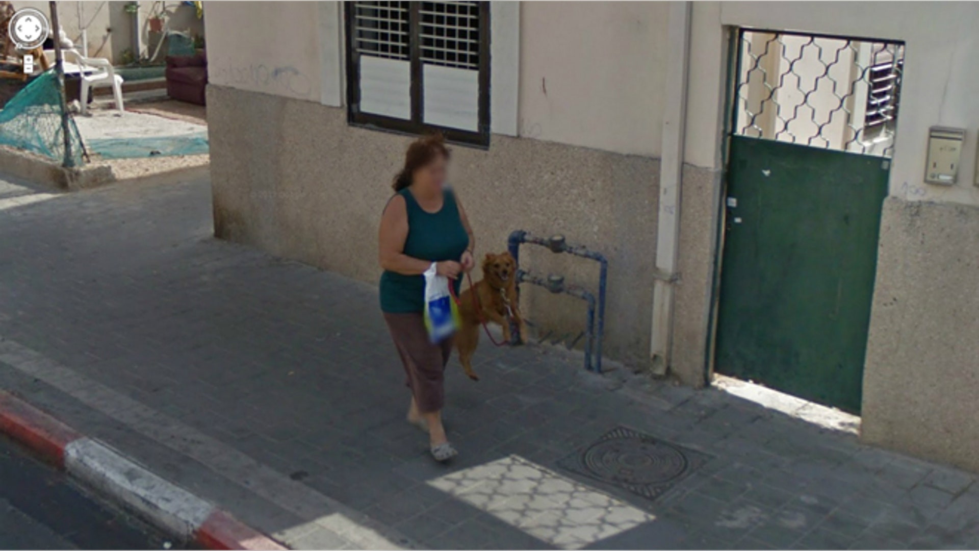 Jumping Dog Photobomb