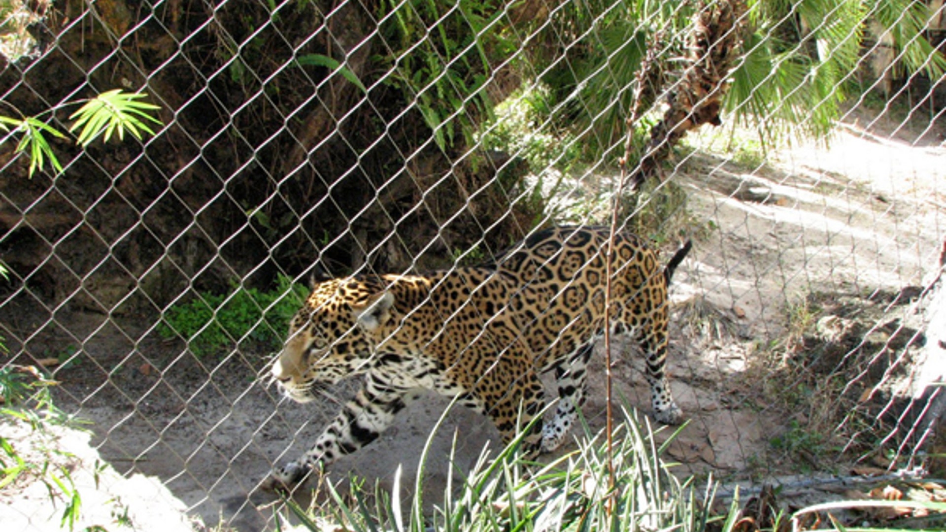 4...Do Feed the Animals