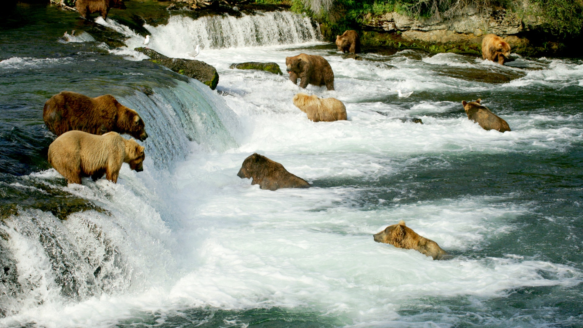 Katmai National Park & Reserve, AK
