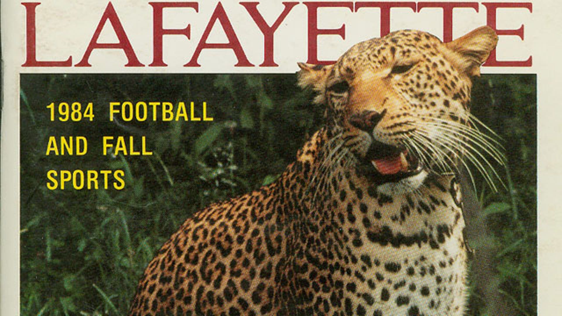 Lafayette Leopard