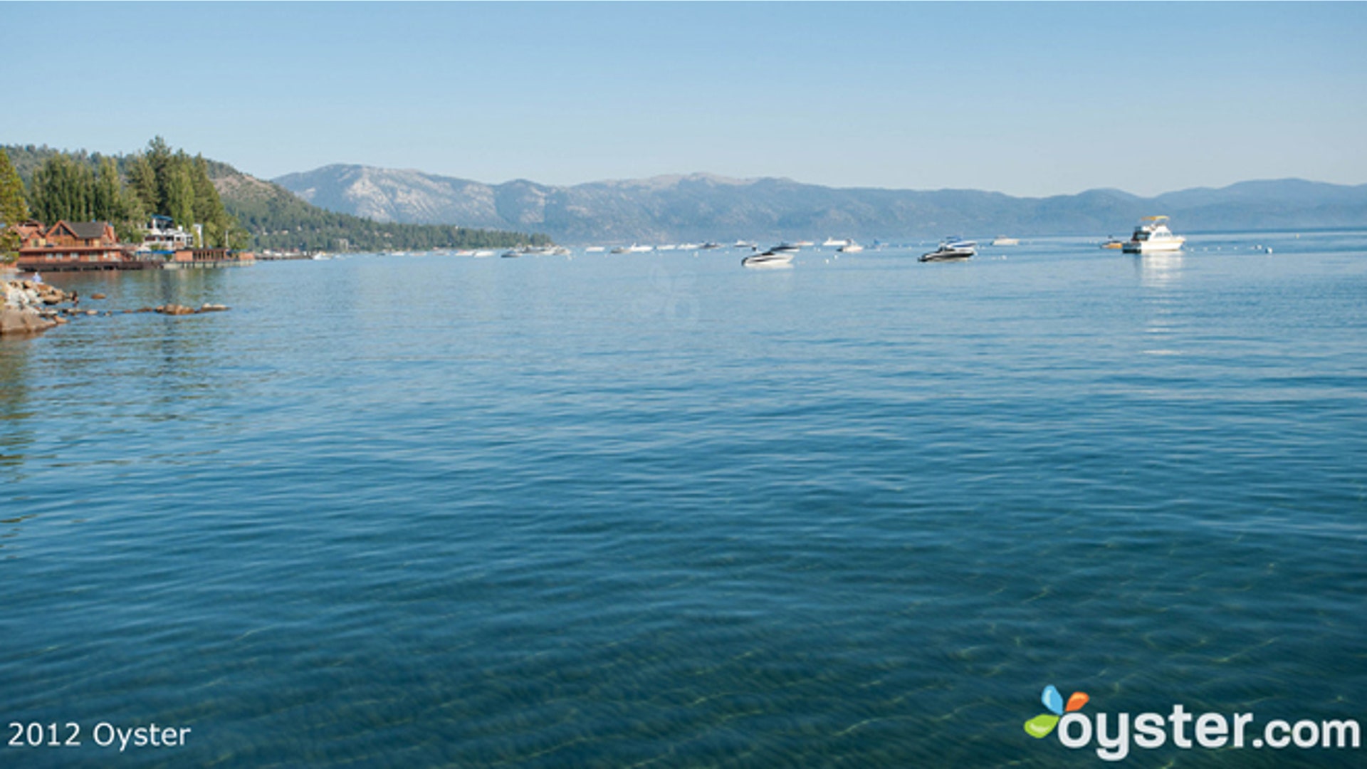 laketahoeoyster