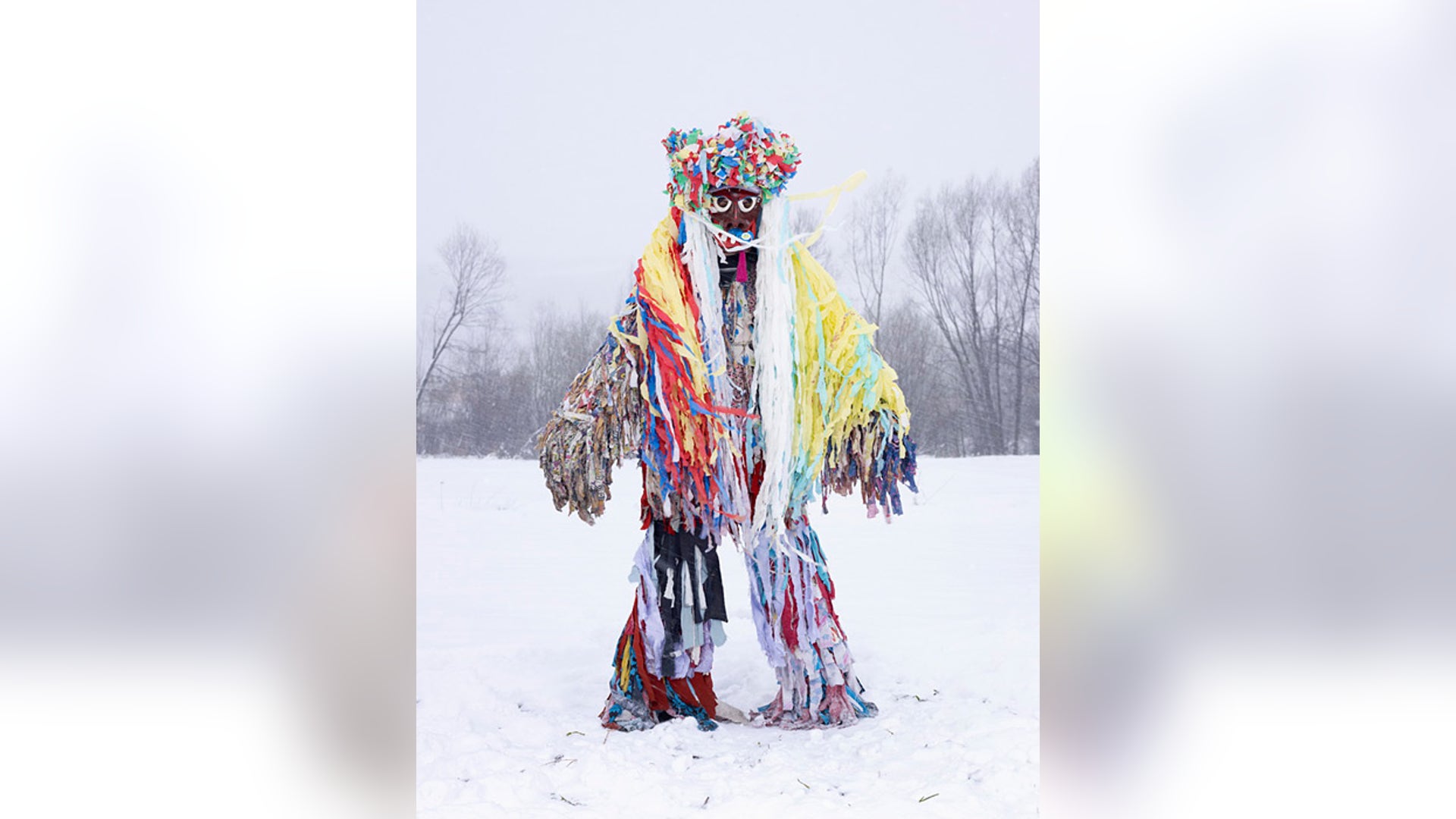 large_charles_freger_macinula_cisiec_poland_2010