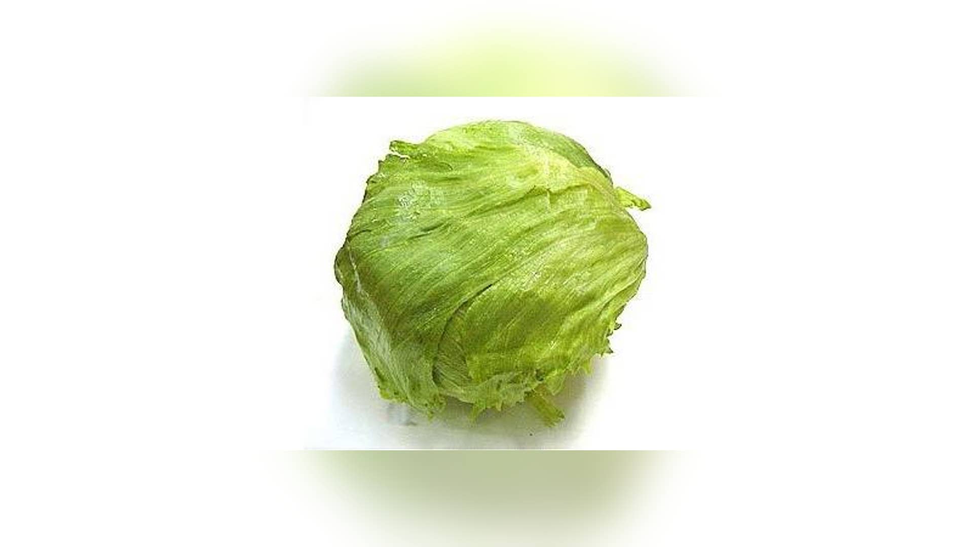 Head of Lettuce: