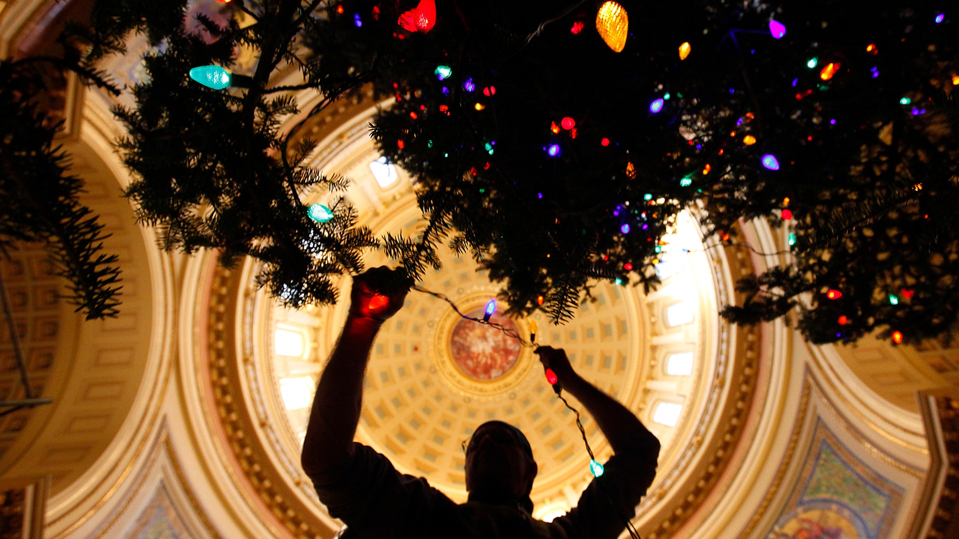 lights_on_a_Christmas