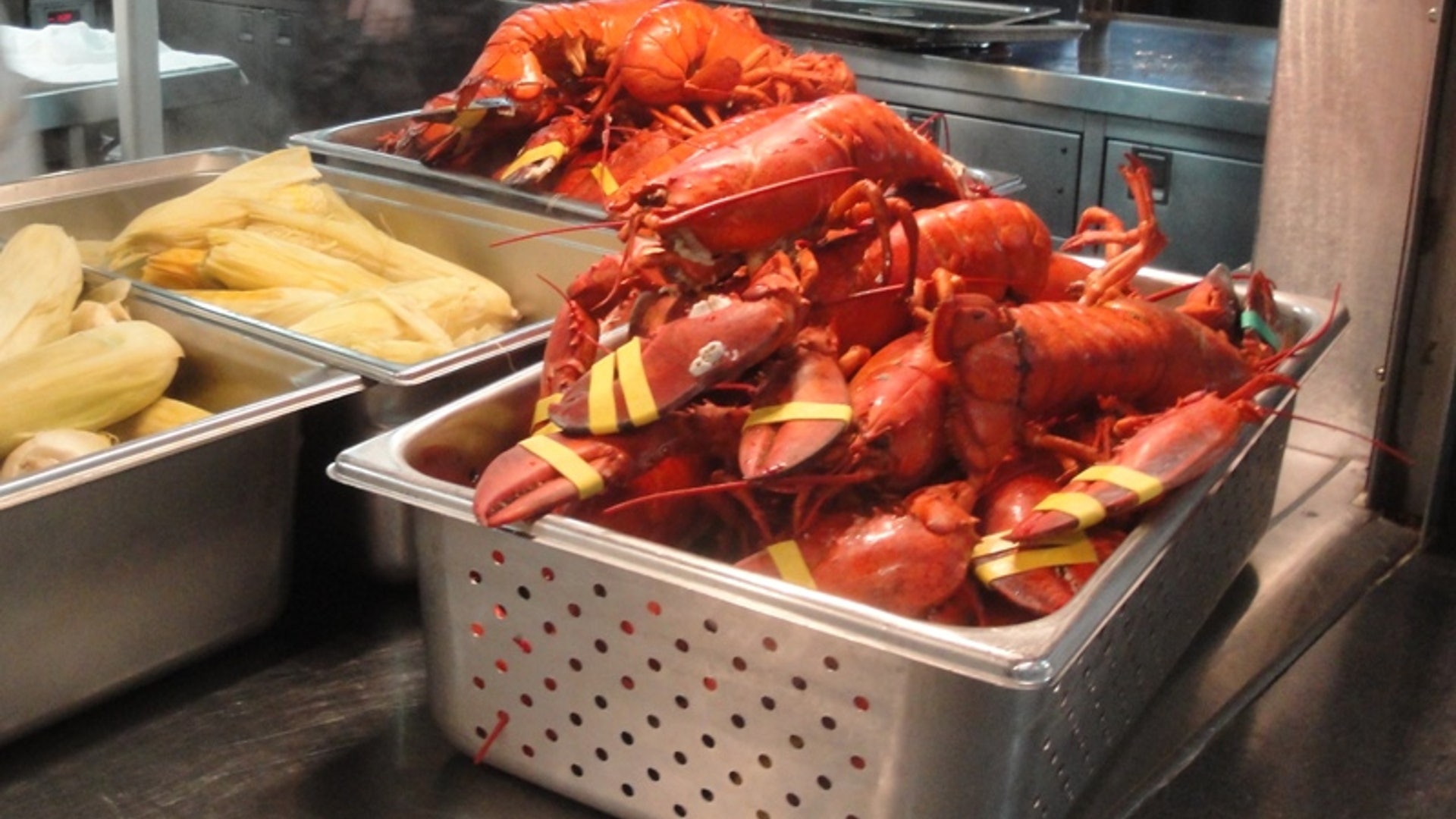 lobster_ready_for_dinner__PM