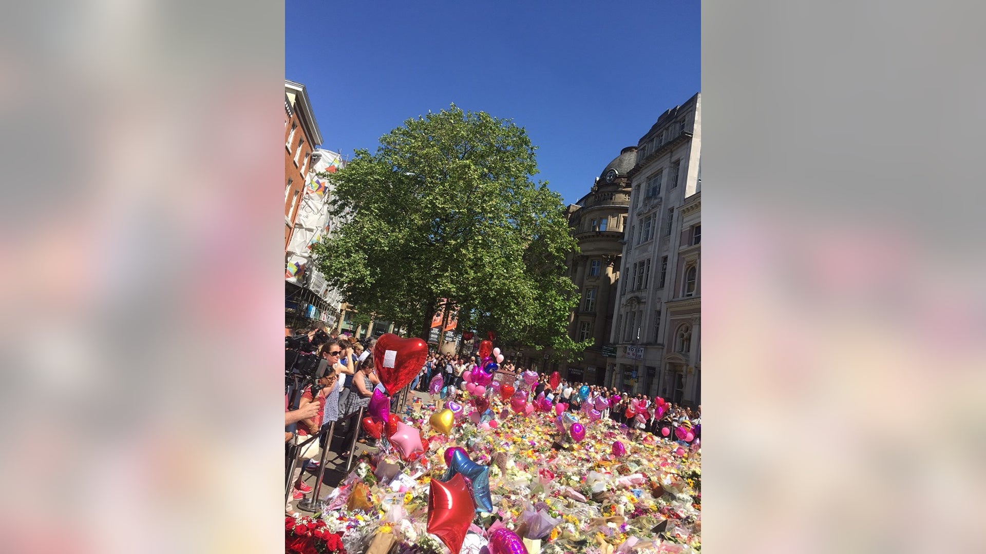 Abundance of bouquets