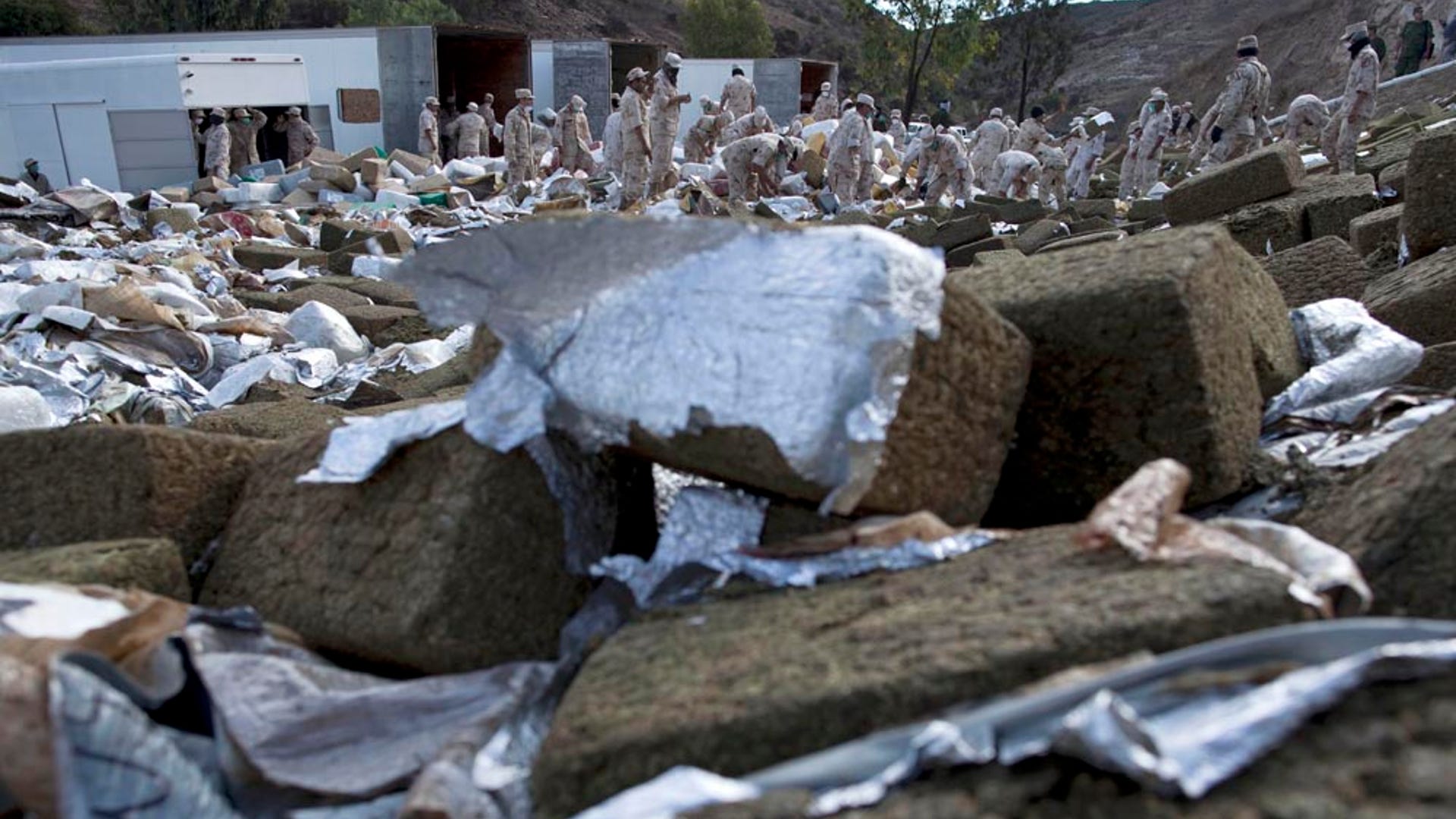 That's a Ton of Marijuana