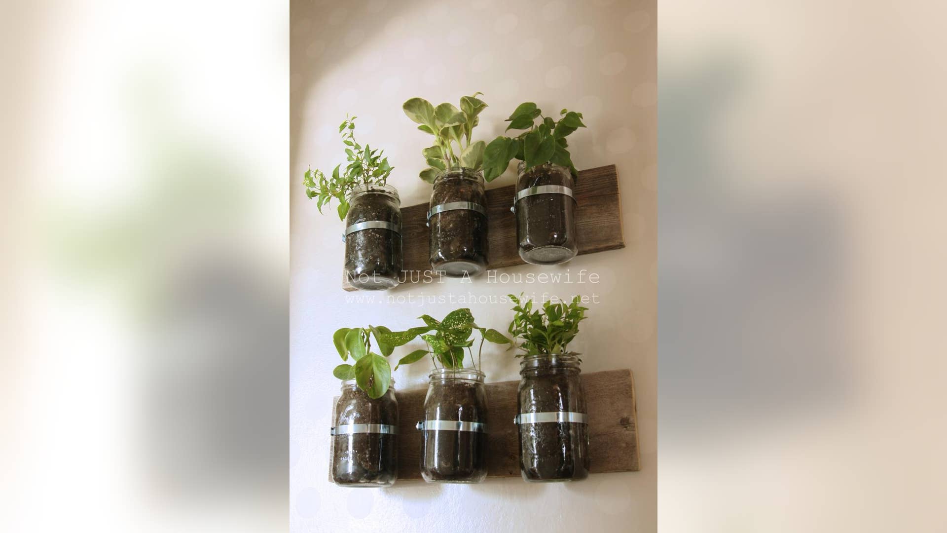 Do More With Mason Jars | Fox News