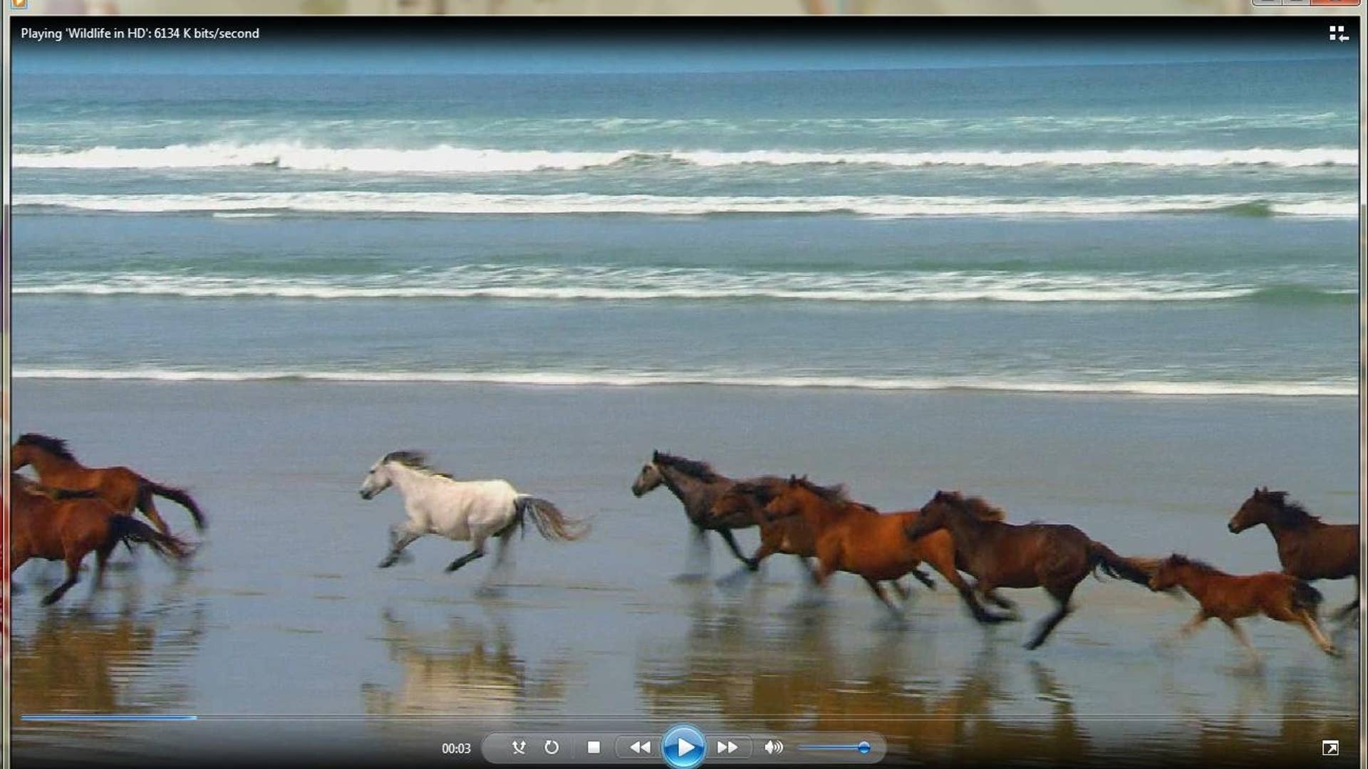 Windows Media Player