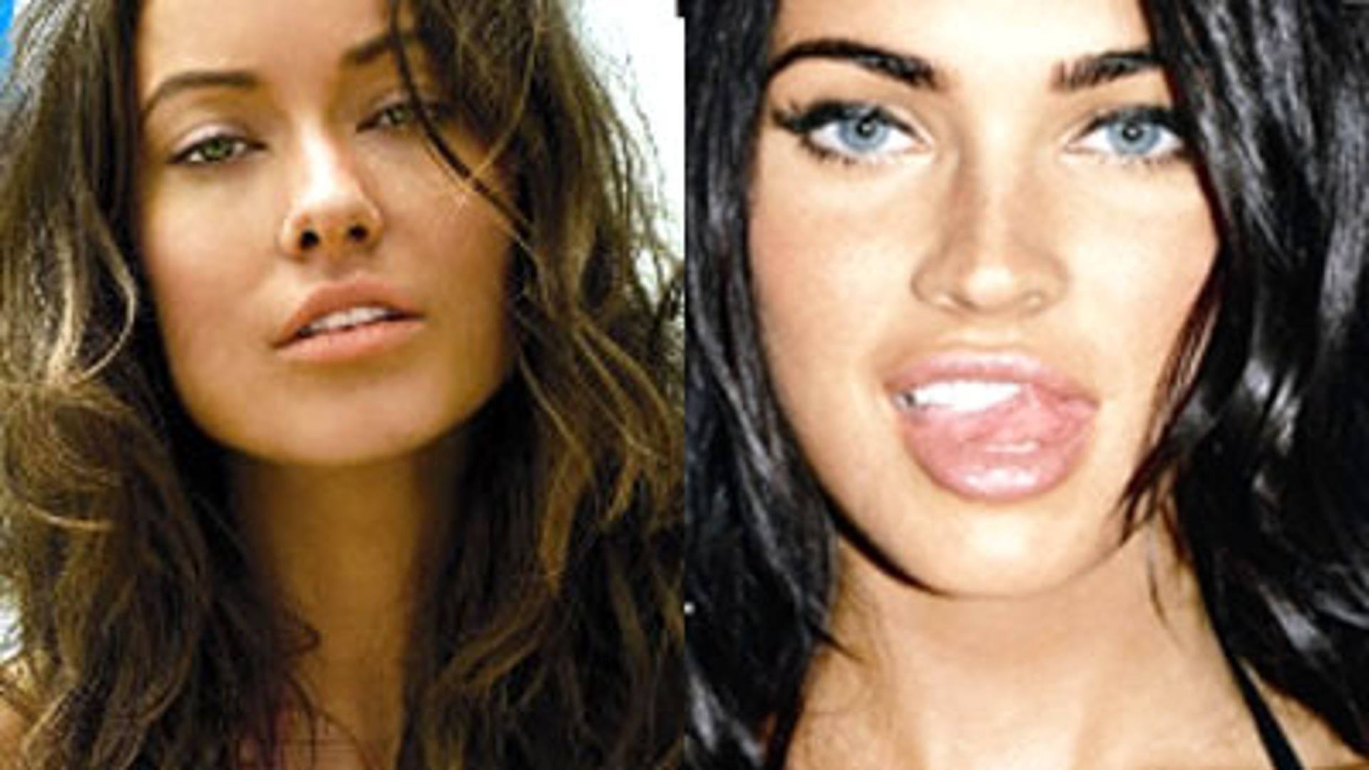 Megan Fox Fakes