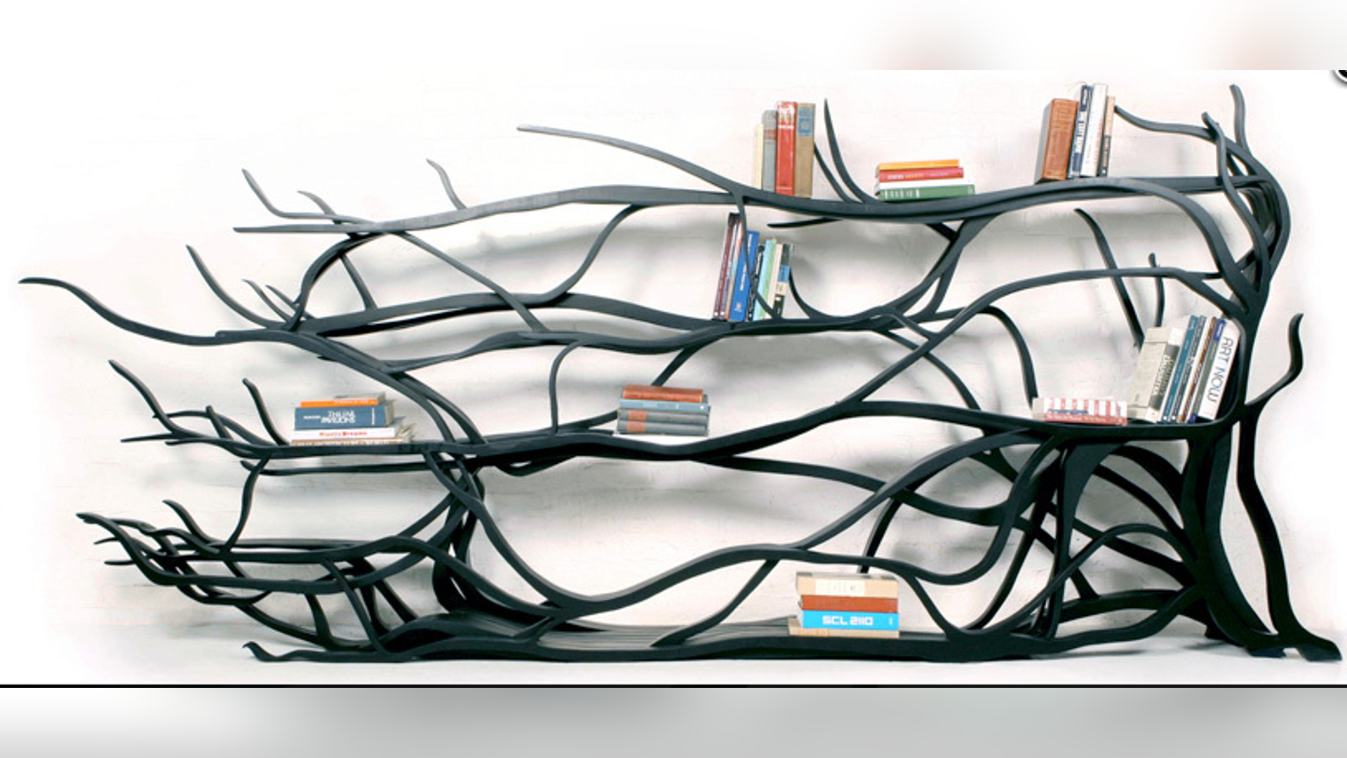 Metamorfosis Bookshelf