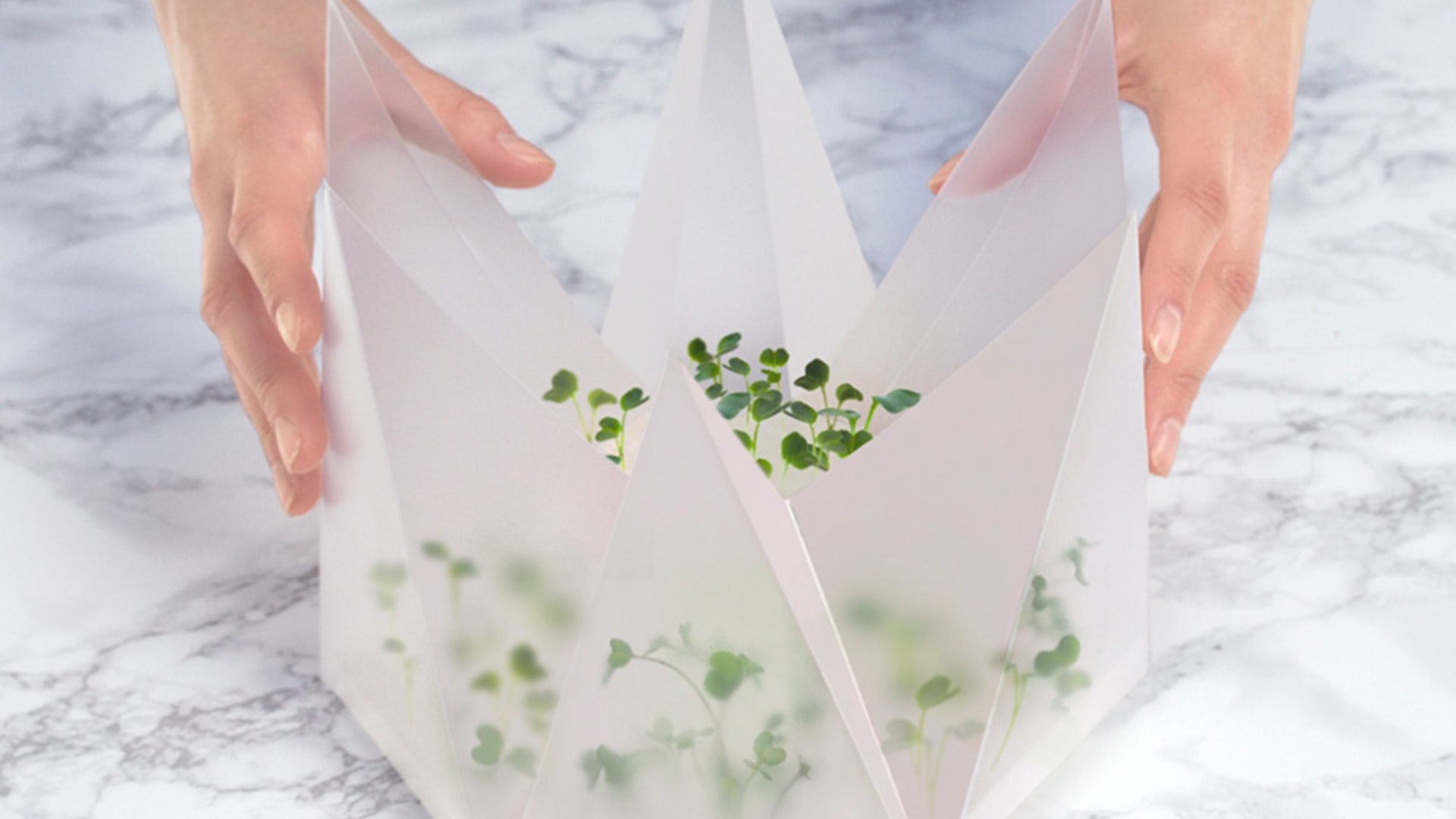 Futuristic Food Packaging from Tomorrow Machine