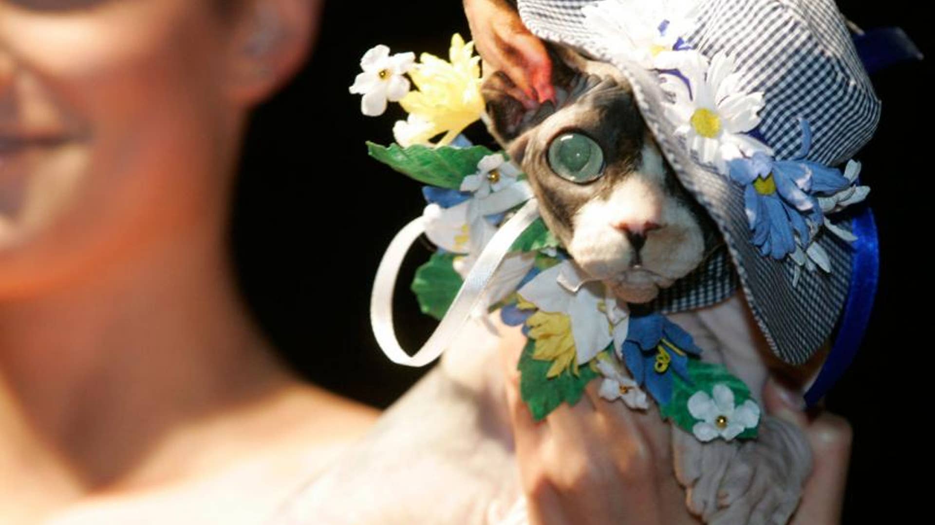 Floppy Bonnet Feline