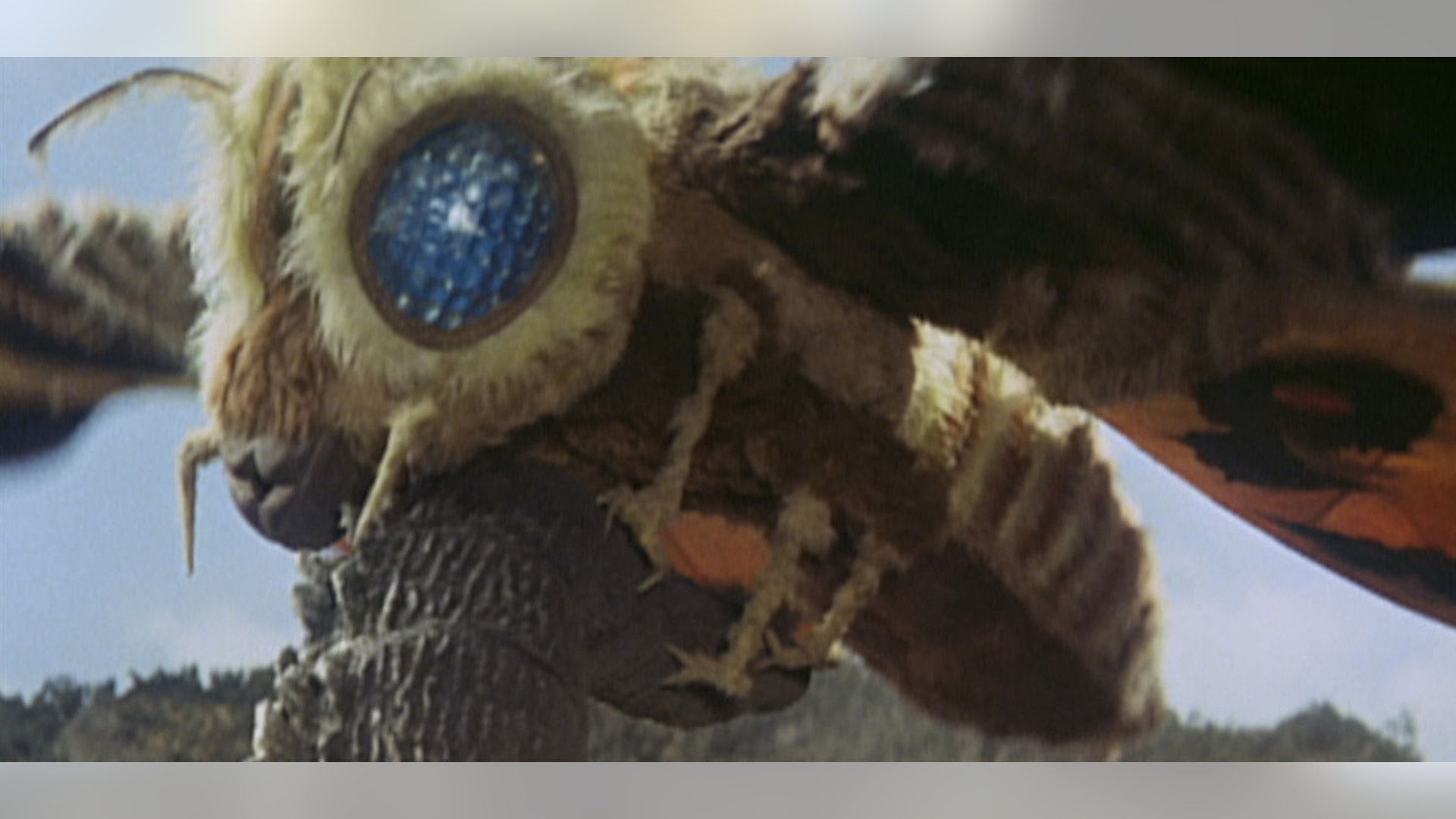 Mothra