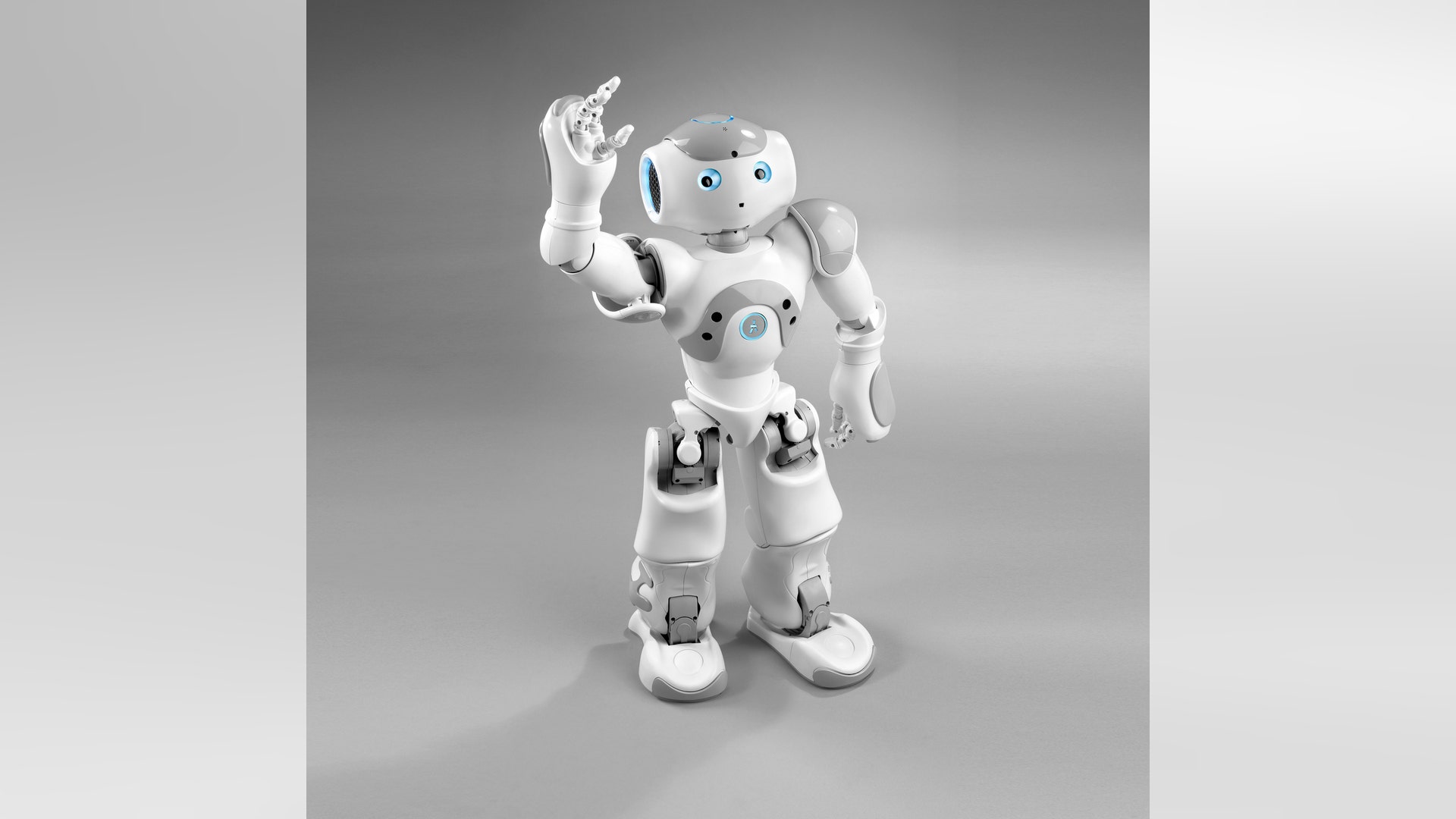 You'll Love This Little Guy