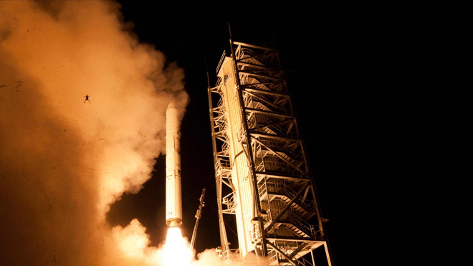 nasa_frogs_in_space_660