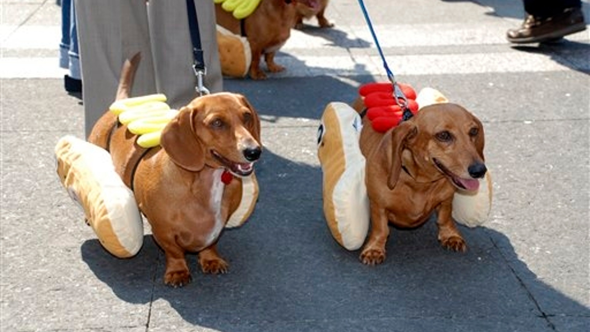 oktoberfestcincinnati