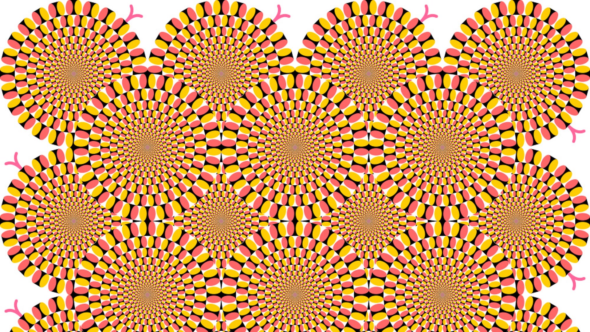 Seeing Isnt Believing Mind Bending Optical Illusions