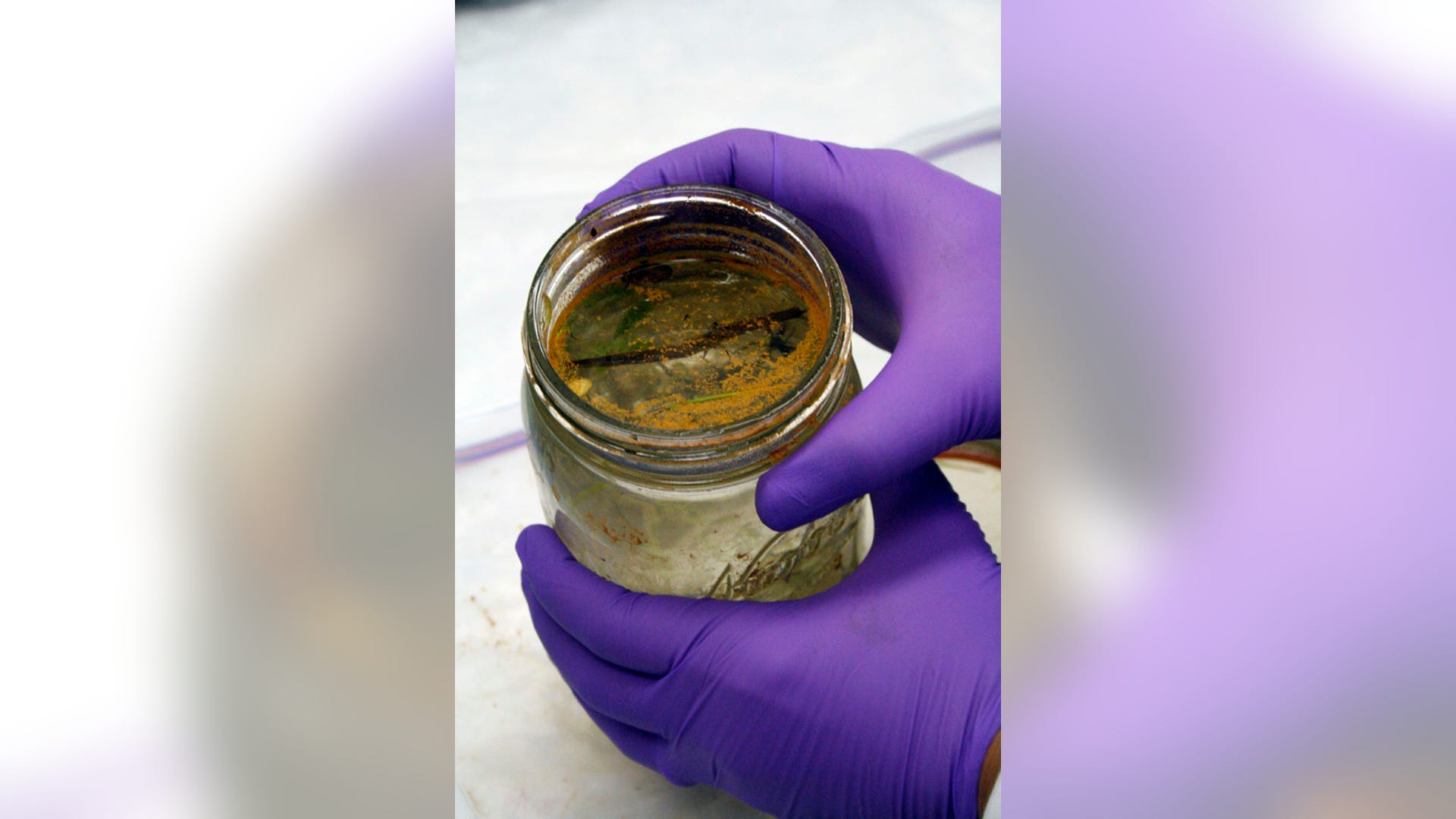 Orange Goo Jar